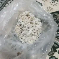 اوشک کوهی