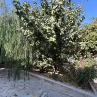 اجاره-ویلا-1000-متری-ورودی-فاز-2