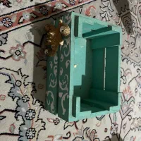 باکس لوازم ارایش و اکسسوری