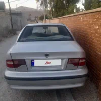 فروش سمندمعمولی