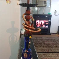 یک قلیون تنه گردو آدامس نعنا ده ساله