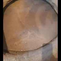 ساج نان
