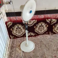 سالم  تمیزه