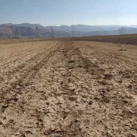 دیمیزار متراژ پایین باسند تک برگ