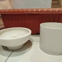 گلدان