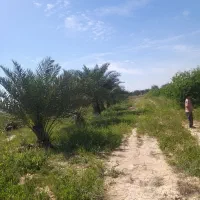 نگهبان زمین کشاورزی