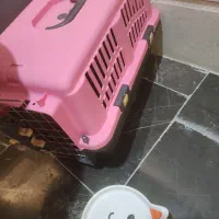 وسایل گربه