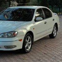 ماکسیما عروسک بدون لنگه و تا مدل ۹۰