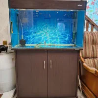 اکواریوم. و ماهی