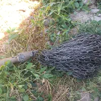 زنجیر محرم
