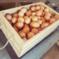 تخم مرغ محلی