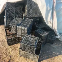 باسلام تعداد200عدد سبدگوجه 15کیلویی کددارتبریز