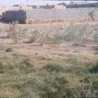 قطعه زمین کوی شفیعی فاز۲