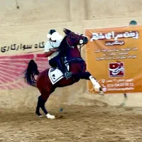اسب