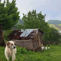 زمین-داخل-طرح-هادی-باغی