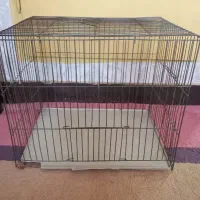 قفس پرنده