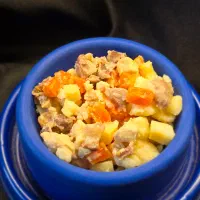 غذای خانگی سگ و گربه
