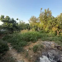 باغچه-640-متری-جنگلی