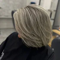 دستیار رنگ و لایت
