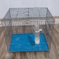 قفس پرنده