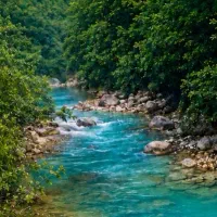تور آب تنی سیاهکشان ۵ تیر