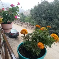 اجاره کوتاه مدت ویلا و سوئیت