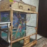 قفس پرنده