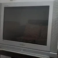 تلویزیون
