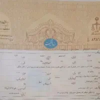 دریافت سندتک برگ
