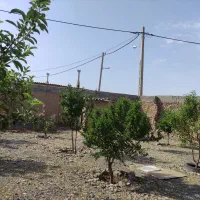 باغ ویلا