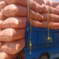 کاه تحویل درب منزل کاه خوب قیمت مناسب