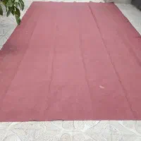 موکت سالم