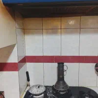 نیرو خانم برای نظافت منزل