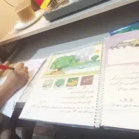 معلم خصوصی ابتدایی تضمینی و مفهومی