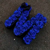 انواع باکس های گل و کادو