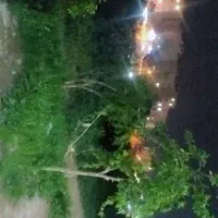 سویت-سویت-سویت