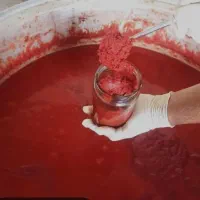 رب خانگی درجه یک