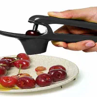 هسته گیر آلبالو گیلاس زیتون دستی