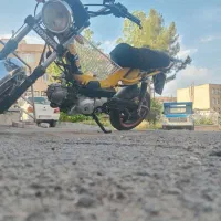 همتاز ۱۱۰