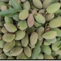 خرید وفروش بادام خرید۱۲۰