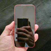 iphone 13 normal|موبایل|شیراز, آبیاری|دیوار