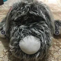 عروسک و اسباب بازی