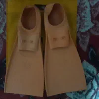 فین شنا