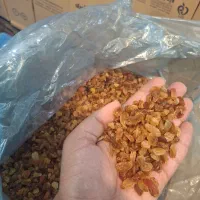 کشمش پلویی