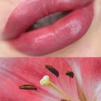میکرو ابرو، شیدینگ لب، بن مژه فقط هزینه مواد