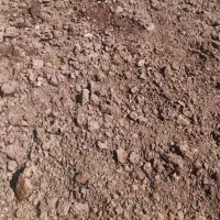 کود پهن گاوی خشک شده مناسب کیوی و باغات