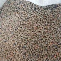 گاودانه بوجاری شده تمیز