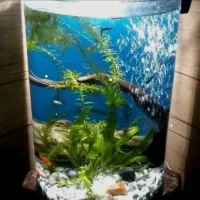 آکواریوم نیم دایره وشیشه خم