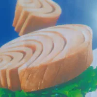 استخدام ویزیتور
