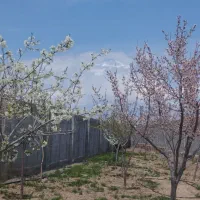 باغ ویلا معاوضه خانه ماشین ۱۱۰۰ متر
